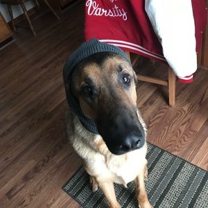 Meet your Posher, Jordan